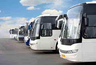 Bus Rental